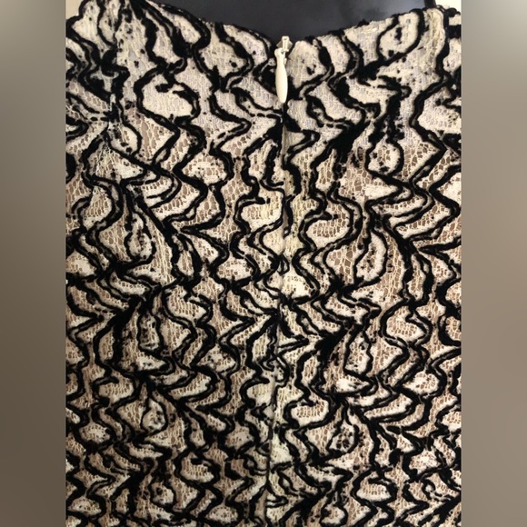 Emilia Wickstead Black and Ivory Flocked Lace Dress - Picture 13 of 16